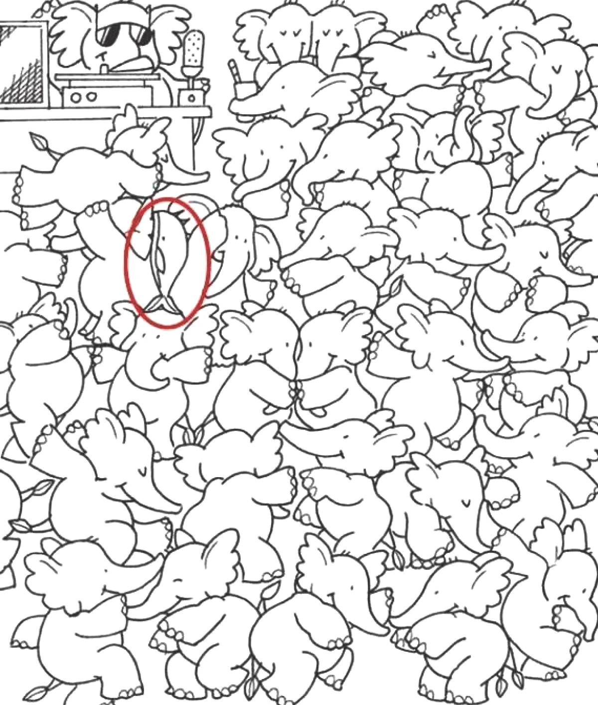 test-fil-yanit.jpg
