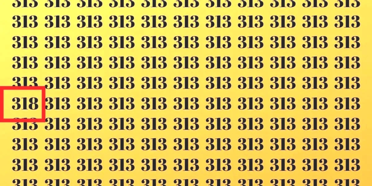 313-test-yanit.jpg