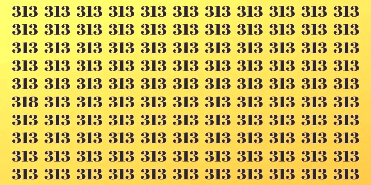313-test.jpg