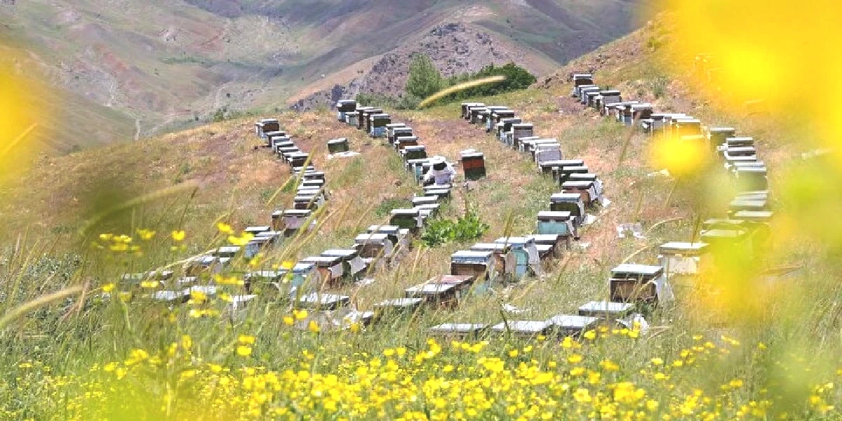 batuhan-keskin.jpg