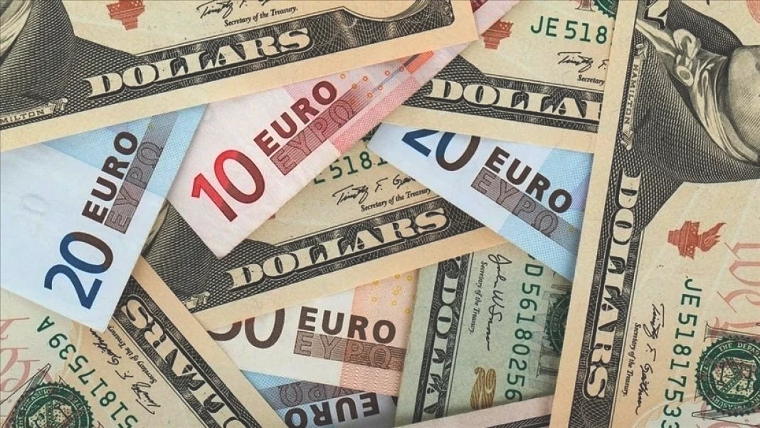 dolar-euro-islam-memis.jpg